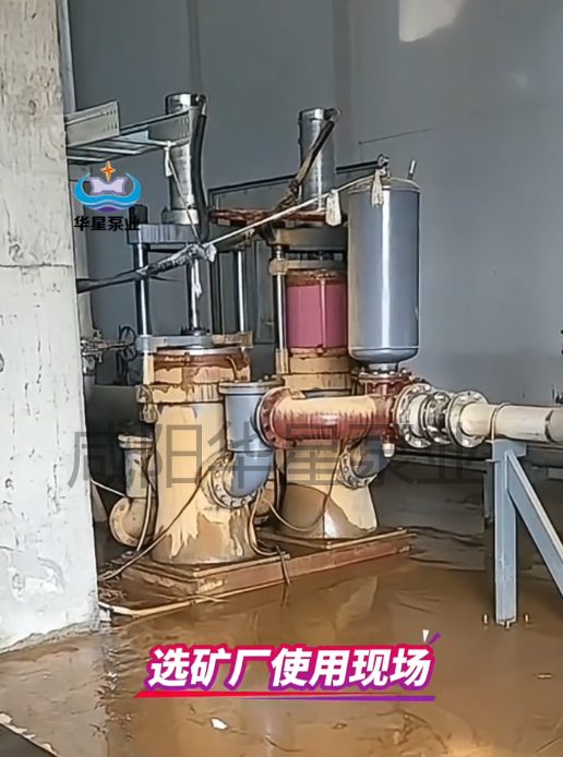 選礦廠(chǎng)柱塞泵替換渣漿泵